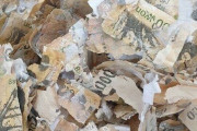 コロナを洗い流そうと紙幣を洗濯機に…紙幣破損事例相次ぐ＝韓国の反応