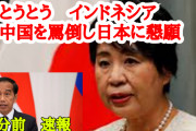 韓国が羨む　日本の実力　インドネシアが中国を見切り日本に戻る