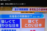 【悲報】選挙SNS偽情報規制へ法改正論ｗｗｗｗｗｗｗｗｗｗｗｗｗｗ
