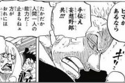 【ワンピース】ロロノア・ゾロ「無理だと喚いてる暇があったら押すの手伝え妄想野郎共！たかが人間1人の能力だ！」