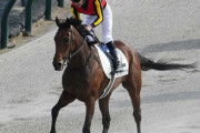レガレイラ次走、有馬記念