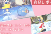 『ディズニープリンセスコレクション』絵本型ケースをレポート！12作品のブルーレイ、DVDセット発売中