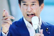 【移民】維新・柳ヶ瀬前参議「炎上中のホームタウン事業。みんな火消しに躍起だが、これを見ればJICAの目的は明らか！」 → ｗｗｗｗｗｗｗｗｗｗｗｗｗｗｗｗｗｗ