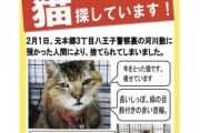 【悲報】八王子警察さん、預かった猫を河川敷に捨ててしまう。ついにこの国は警察まで機能しなくなったな