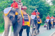 アユタヤ警察署による象のパトロール部隊「エレファントパトロール」披露！