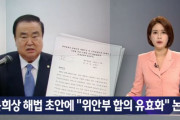 文喜相案の草案に「慰安婦合意有効化」が含まれていることが判明して物議＝韓国の反応