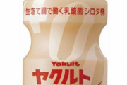ヤクルトレディという1本80円の飲み物を売り歩いて生計を立てている謎の存在