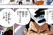【ONEPIECE -ワンピース】マグマグの実←これなんか違和感あるよな？？？？？