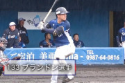 【悲報】西武ブランドン体調不良