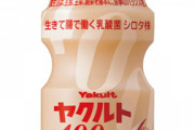 ヤクルトレディという1本80円の飲み物を売り歩いて生計を立てている謎の存在