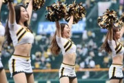 【画像】ダンスの実力で選抜された阪神タイガースのチアガールたち、ルックスもめちゃくちゃ可愛いwww