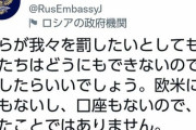 【悲報】ロシア｢我々を罰したいなら罰したらいい。欧米に資産もないので大したことではない｣