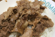 【ウェイパー汁】ワイが作ったトンテキ丼がこれwwwwwwww（画像あり）