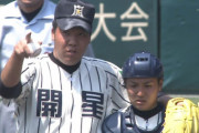 元プロ野球選手「白根尚貴」が通用しなかった理由