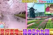 【予告動画公開】あーりん『潜在能力テスト 春の絶景行楽地に秘められた謎SP』出演決定！