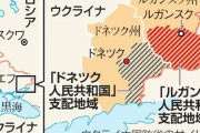 ドネツク人民共和国(親ロシア派)「わーウクライナが大規模な侵攻を企ててる！ロシアさん助けて！！！」