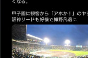 【悲報】伊藤隼太さん(31)、654日以上連続ノーヒットが確定wwwwxwwwwxwwwwxwwww