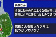 【岩手】自宅の居間にまでクマが侵入、81歳の女性が襲われ死亡…襲ったクマはまだ見つからず