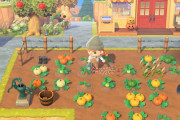 『あつまれ どうぶつの森』「かぼちゃ」育ててる？