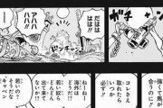 【ワンピース】尾田くん「エースはスモーカーや手錠付きヤマトと互角」←これ