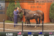 【競馬】種牡馬キタサンブラックって、期待されているの？