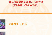 【パズドラ】単純に自由なキャラ取られるのが悔しい←これ