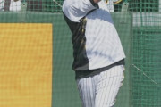 阪神の新助っ人・ノイジーがランチ特打で初日から快音　６１スイングで安打性２７本　