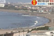 湘南の海水浴場、バーベキューや飲酒、花火をする人、サーファー乱入、ウォーターバイクが爆走して無法地帯に