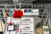 【画像】最近はショッピングカート使うのにも100円かかるのか