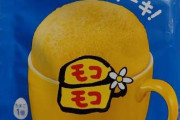 【画像】モコモコ買ったで！