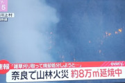 【悲報】70歳のおじいちゃん、奈良の山中で雑草野焼きして山火事起こしてしまう…