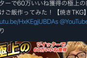 【朗報】ヒカキン「ハンドスピナー流行らせました。アルミホイルボール流行らせました。マイクラ流行らせました。Fortnite流行らせました」