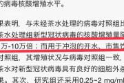 中国の権威ある医療機関「緑茶がコロナウイルスに最も効く」