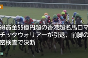 獲得賞金55億円超の香港超名馬ロマンチックウォリアーが引退、前脚の精密検査で決断