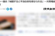 ガーシー「日本に帰ってくると、不当な罪を着せられる恐れがある」 立花氏から帰国しないよう指示されている