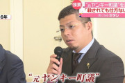 議員「元ヤンキーです」町民「せやな」