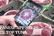 海外「このアプリほしい！」「選定する人がかわいそう…」日本でAIによるマグロの判定アプリ導入へ