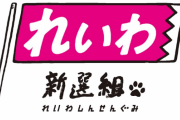 れいわ新選組さん、統一地方選でとんでもない快挙達成ｗｗｗｗｗｗｗｗ