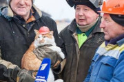 【画像】ついにロシアでも現場猫が見つかるｗｗｗｗｗｗｗｗｗｗｗｗｗｗｗｗｗ