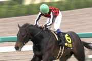 岩田康誠、皐月賞は若葉S優勝のデシエルトを選択！　スプリングS勝ち馬ビーアストニッシドの鞍上が空席に