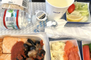 【海外の反応】これが日本のANAで出される機内食か、でもなんだかちょっと違うな