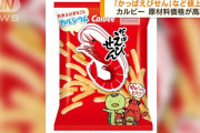 カルビー、かっぱえびせんなど45品目を秋頃から値上げ