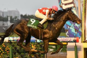 【競馬予想】[1]第69回神戸新聞杯(G2) /2021