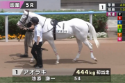 【日曜函館5R新馬戦】白毛馬アオラキ出走