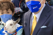 【宮城】ヤギの政治利用で炎上中の立憲・鎌田さゆりさん、twitterで叩かれすぎてヤギを飼う事を決定　※なおヤギの写真無し