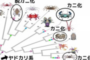 進化論「なんかアミノ酸が偶然発生してそっから微生物が生まれた」←あのさぁ…