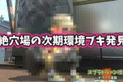 【スプラトゥーン2】超絶穴場の『次期環境ブキ』を発見してしまった件