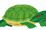 うちで飼育してるミドリガメｗｗｗｗｗｗｗｗｗｗｗｗｗｗｗｗ
