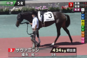 【月曜中京5R新馬戦】シャケトラの半妹サヴァニャンがデビュー