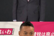 【画像】山本太郎さん、１週間で顔が真っ黒から真っ白になる